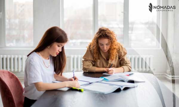 Requisitos que debes cumplir para trabajar en Tauranga