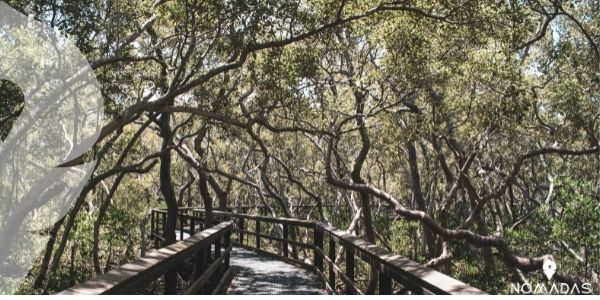 Lugares para visitar en Brisbane