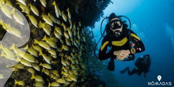 Razones para vivir y estudiar en Cairns 