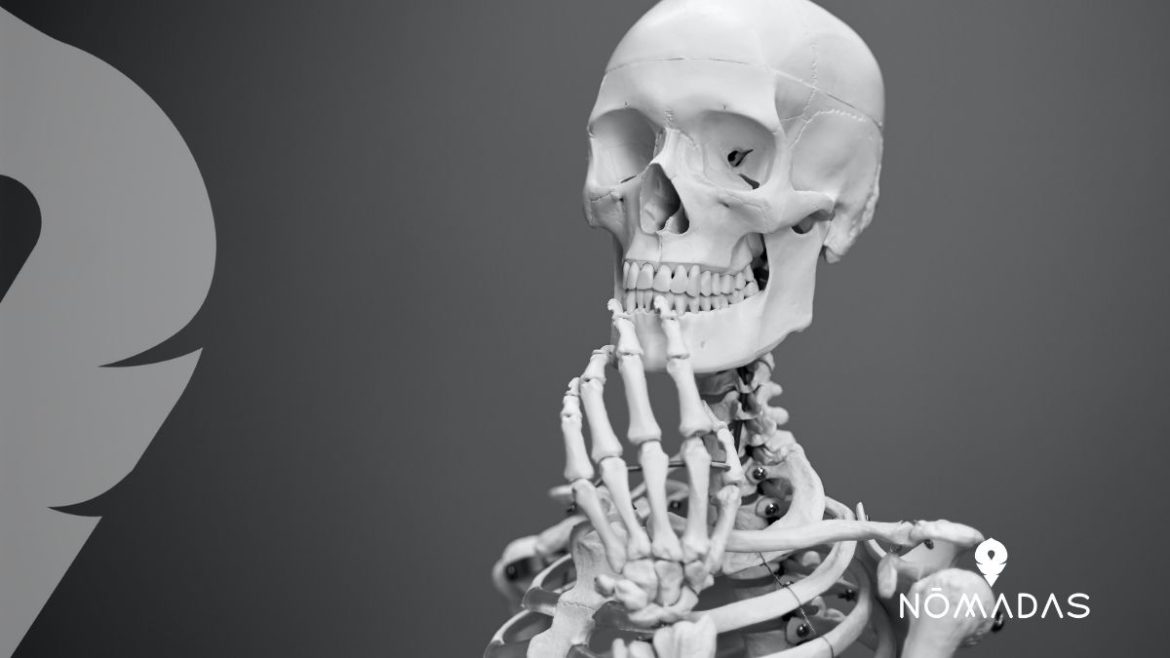 Partes del cuerpo en inglés