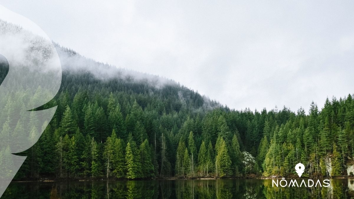 ¿Qué ver y hacer en Vancouver_