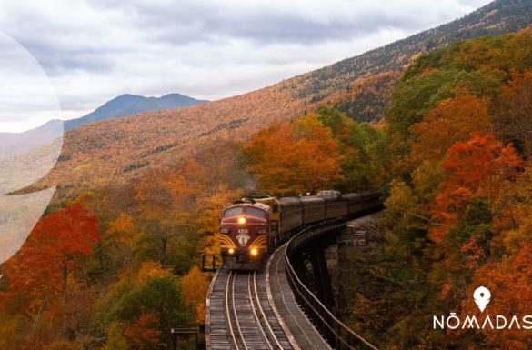 Vivir New Hampshire
