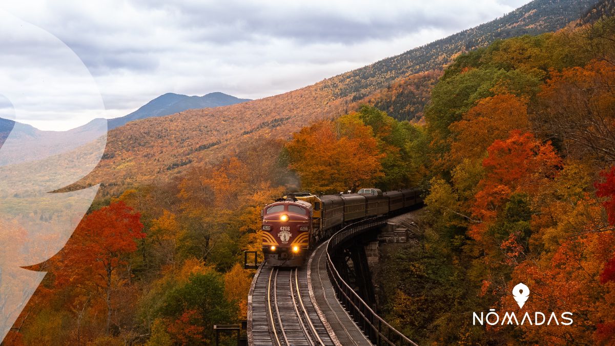 Vivir New Hampshire