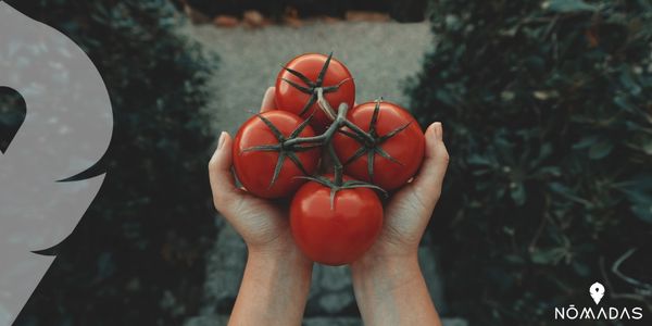 La Tomatina
