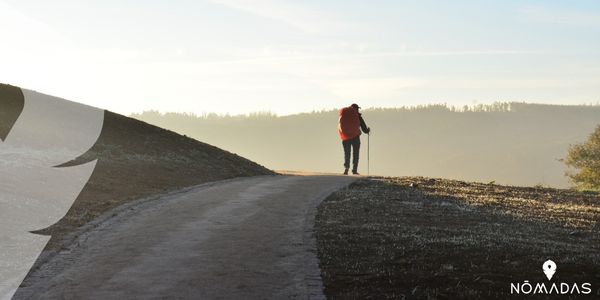 El Camino de Santiago