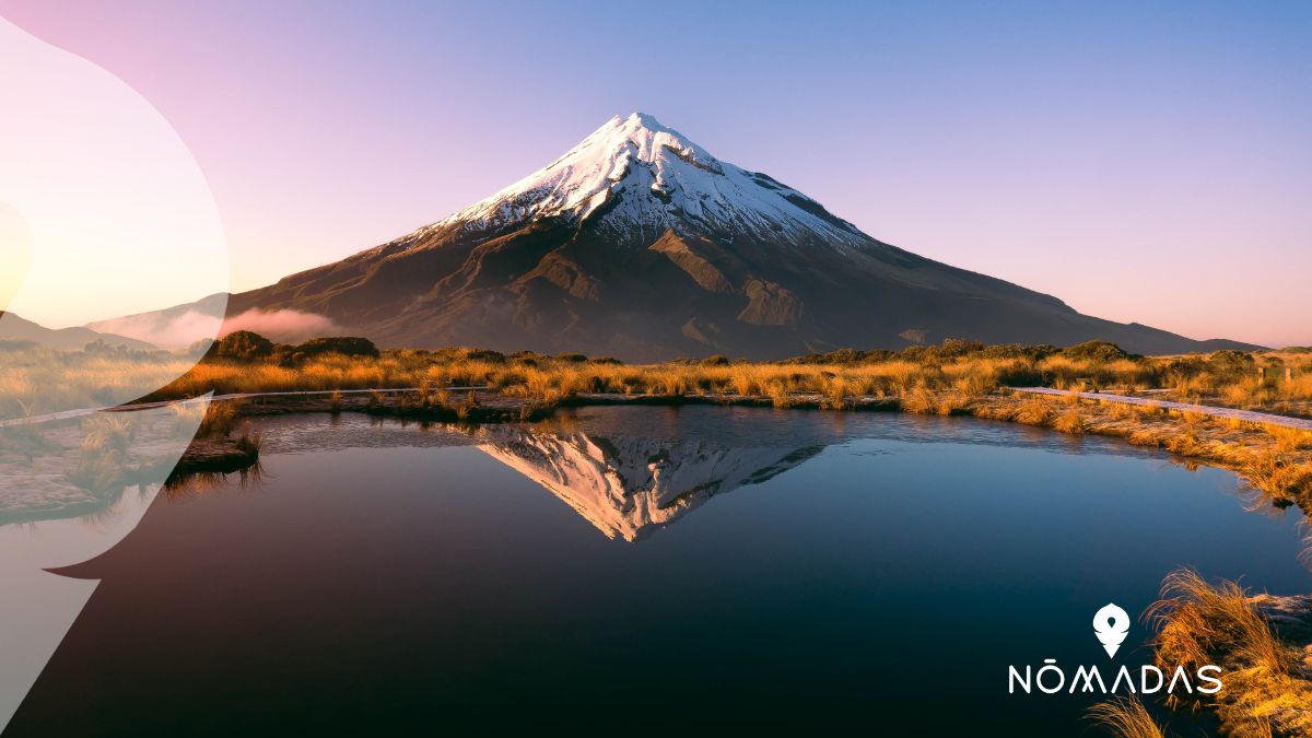 ¿Cuánto cuesta vivir en Nueva Zelanda? La guía definitiva para latinos en 2025