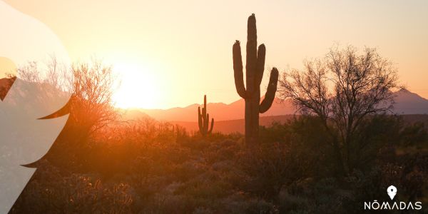 Días soleados en Phoenix